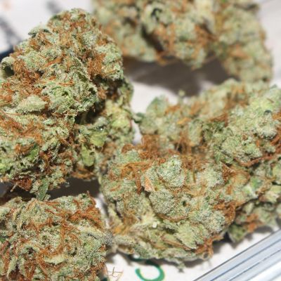 different types of cannabis strains, sativa or indica