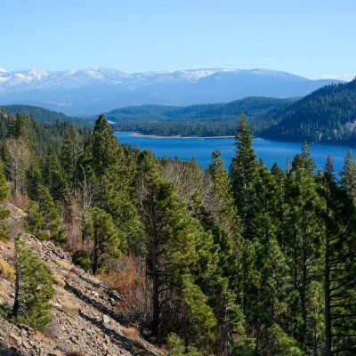 lake tahoe thc | cannabis delivery tahoe | cannabis tahoe delivery | thc truckee area